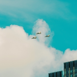 50  NĂM GIẢI PHÓNG MIỀN NAM