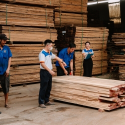 COMPANY GỖ NHẬT THÀNH BÌNH DƯƠNG