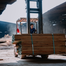 COMPANY GỖ NHẬT THÀNH BÌNH DƯƠNG